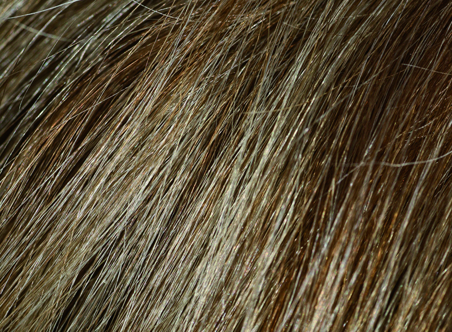 productos_champu-de-color-castano-claro_634_muestracastanoclaro5n_1524678608